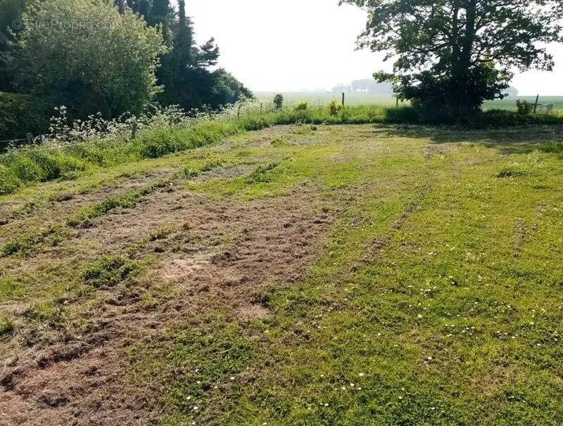 Terrain à LA CERLANGUE