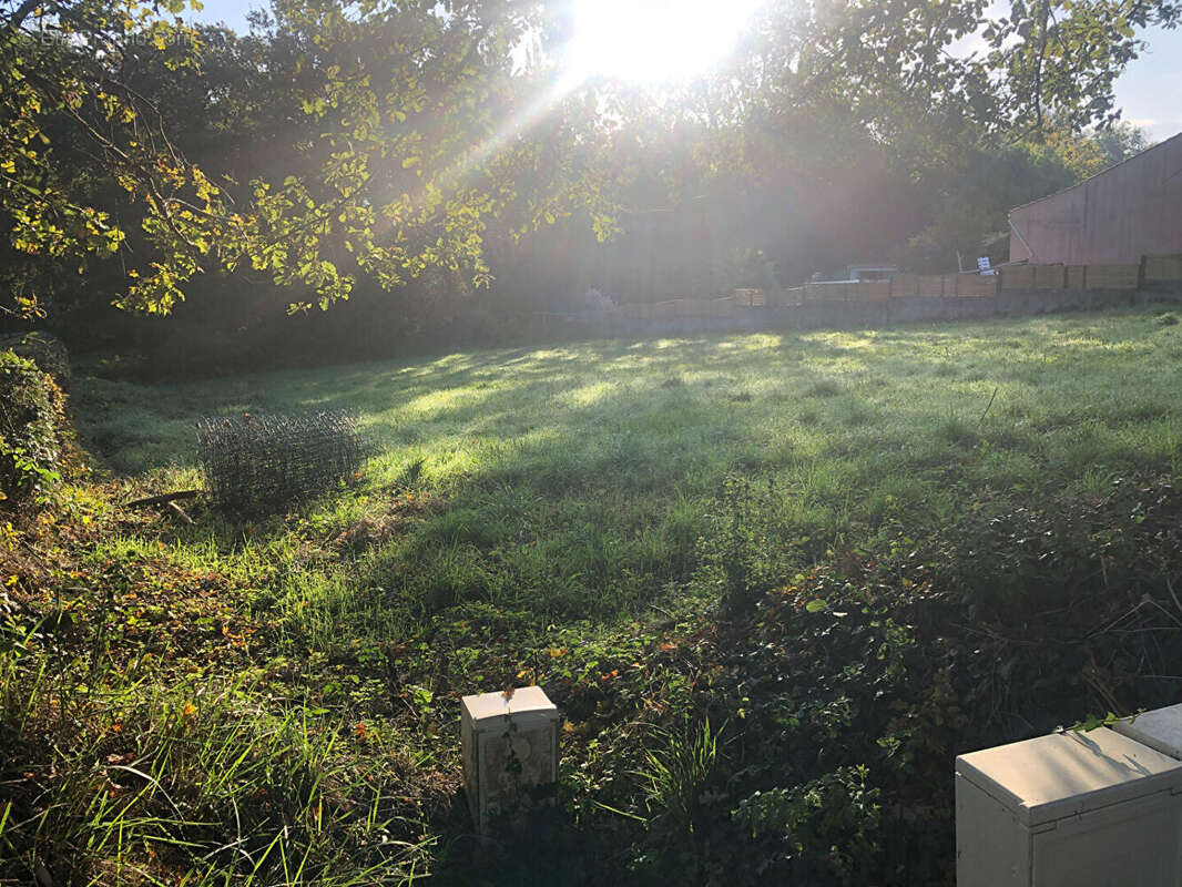 Terrain à SAINTE-FOY