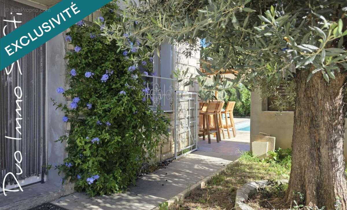 Photo 2 - Maison à SAINTE-TULLE