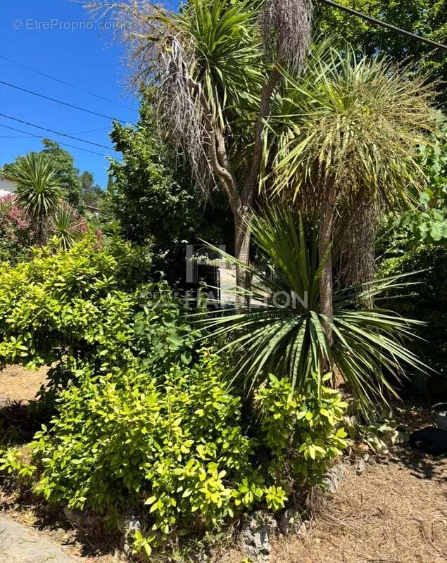 Maison à CHATEAUNEUF-GRASSE