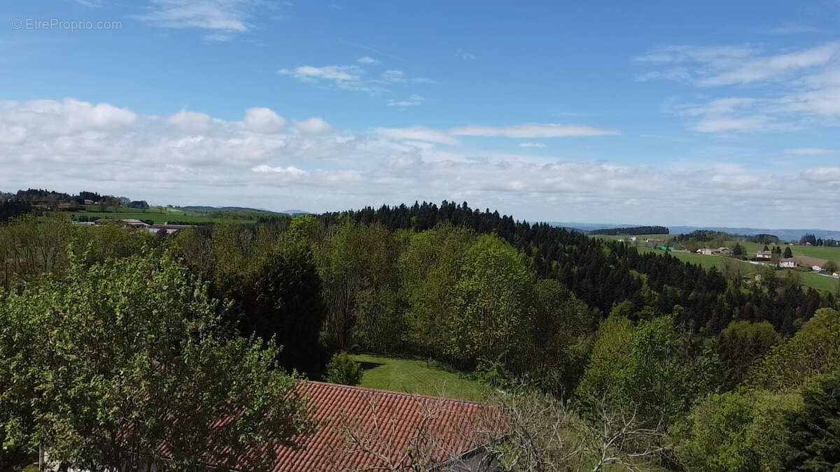 Commerce à SAINT-JUST-MALMONT