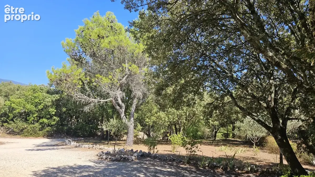 Maison environnement calme à Bedoin avec grand garage et terrain arboré - photo 4