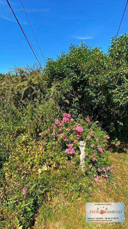 Belle maison en pierre avec vue imprenable, jardin et dépendances garage – Beaujolais Vert - photo 7