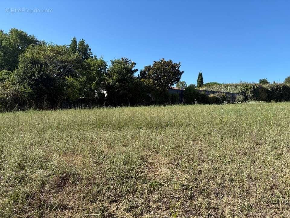 Terrain 600 m² à Cepet  - photo 2