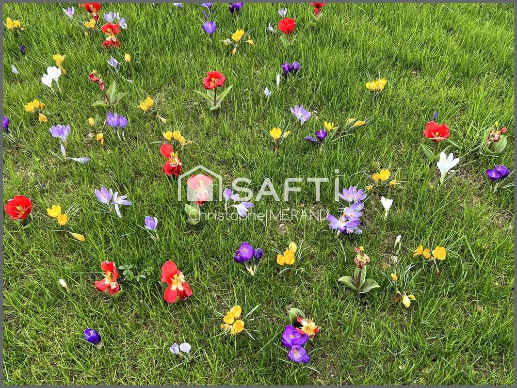 Photo 1 - Terrain à LES ORMES