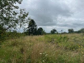 Terrain à CHATEAUMEILLANT