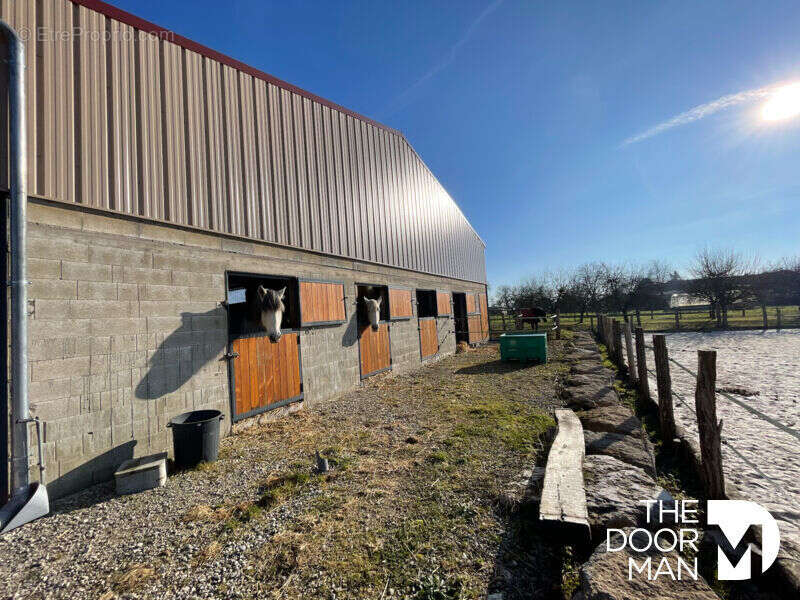 Commerce à RANCONNIERES