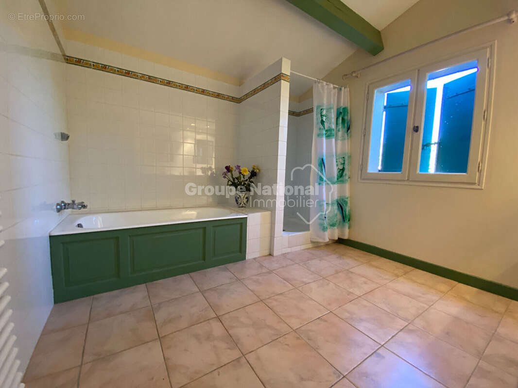 St Remy de Provence, maison + 2 appartements + piscine sur 1234 m² de terrain - photo 6