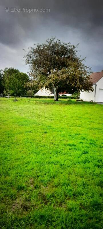 Photo 1 - Terrain à CHAMOUILLE