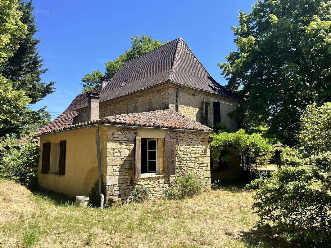 IMG1331 - Maison à BEYNAC-ET-CAZENAC