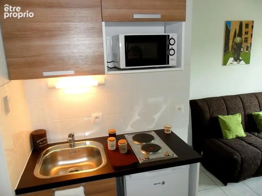 Appartement 1 pièce 18 m² à vendre à Villeurbanne (69100) - photo 3