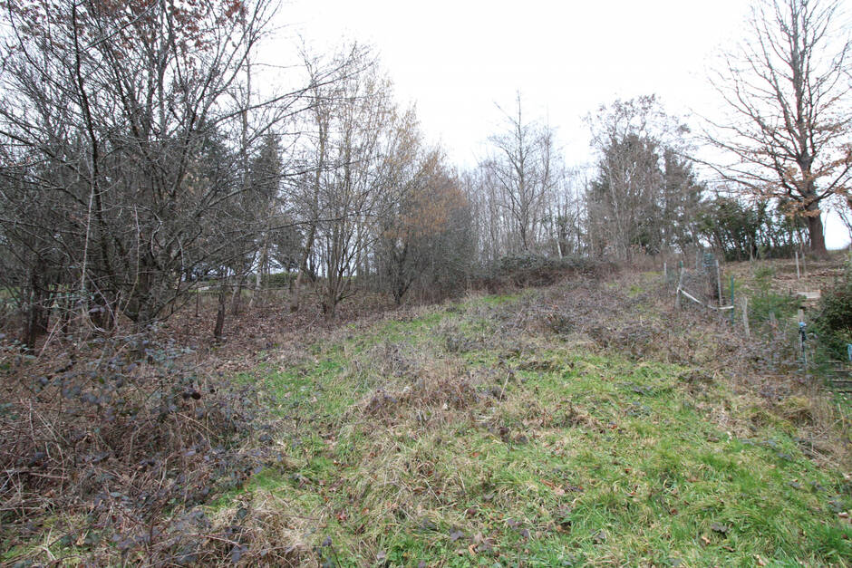 Terrain à BIRKENWALD