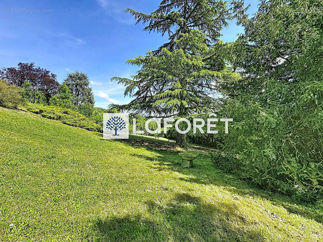 Maison hauteur Beynost - 110m² - 5 pièces - 1761m² de terrain - photo 14