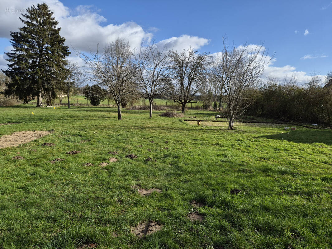 Terrain à LA QUEUE-LES-YVELINES