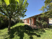 Maison à MONTESQUIEU-VOLVESTRE