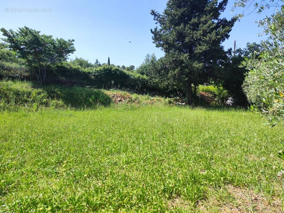 Terrain à BRIGNOLES