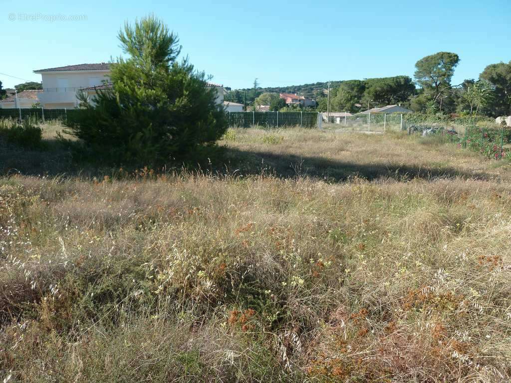 Terrain à CLERMONT-L&#039;HERAULT