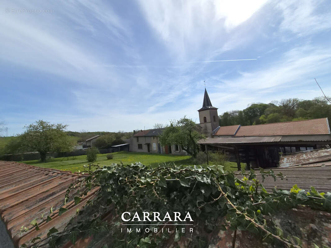 Maison Lorraine, de caractère avec ses dépendances à exploiter. - photo 11