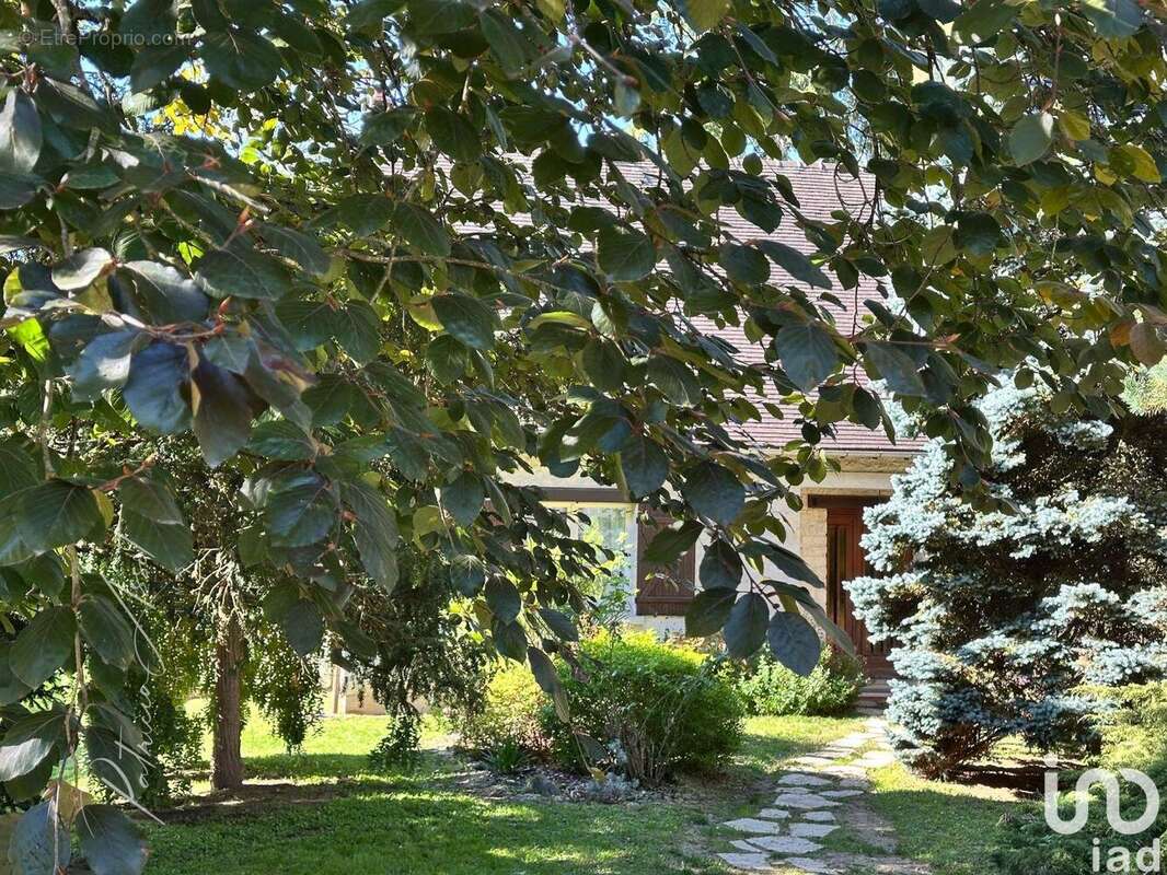 Photo 2 - Maison à MONTIGNY-SUR-LOING