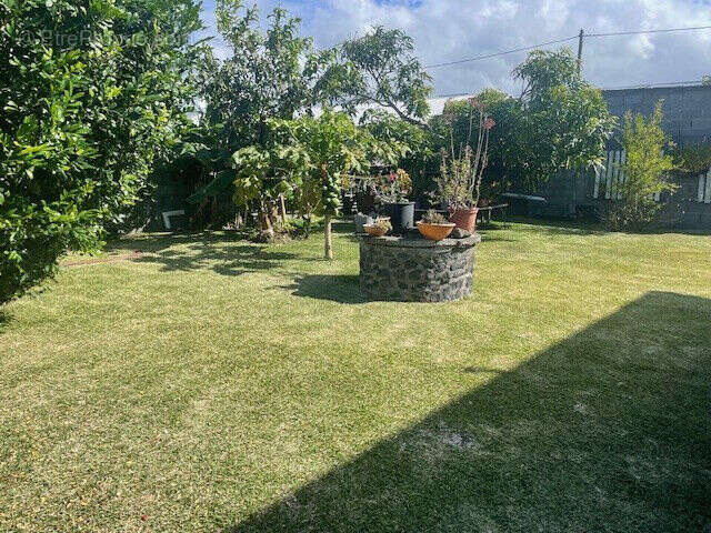 Photo 3 - Maison à SAINT-ANDRE