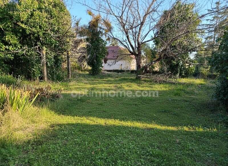 Appartement à LE HOUGA