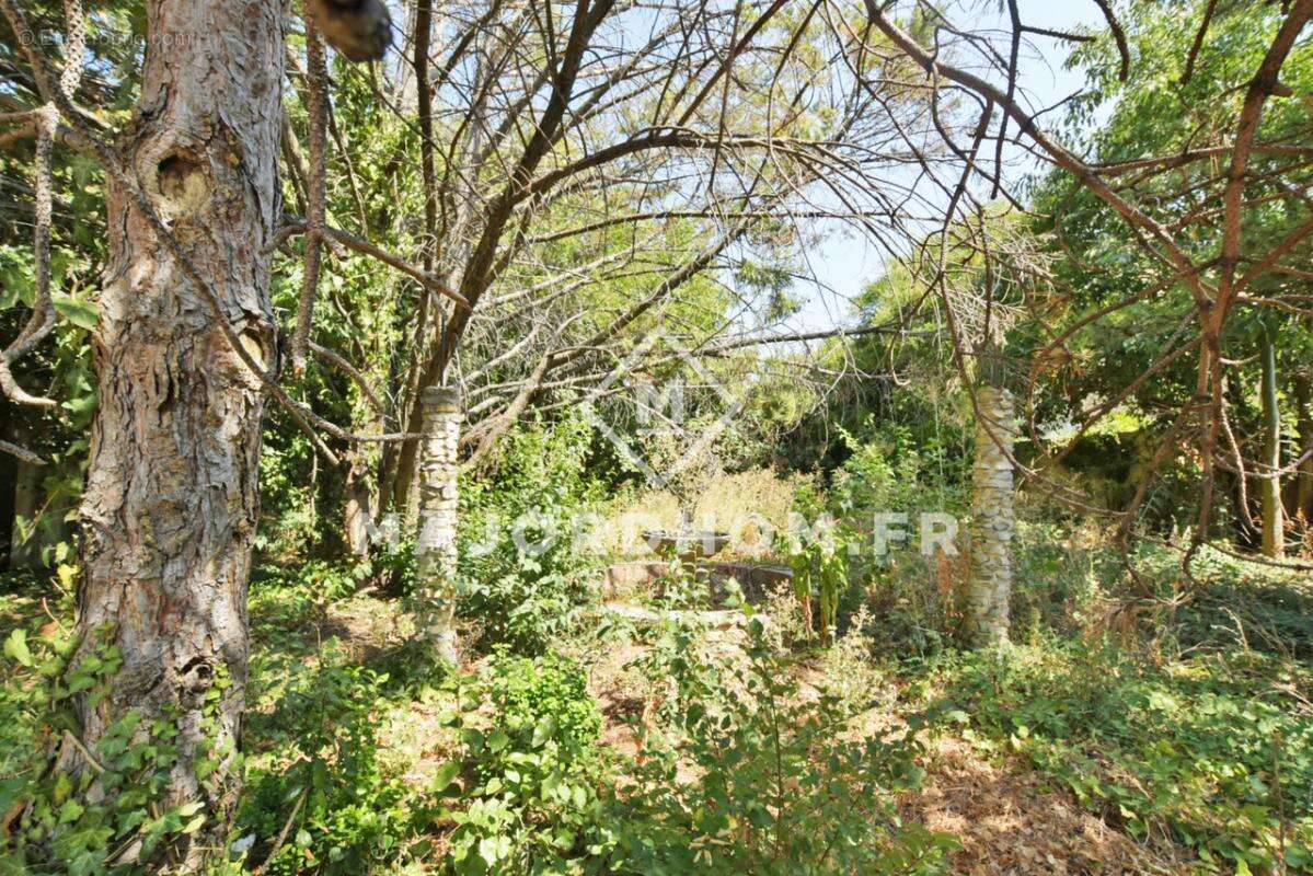 Vend Maison 157m2 terrain de 2193 m2 sans vis à vis  13015 - photo 23