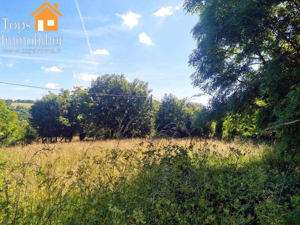 Terrain à PUYJOURDES