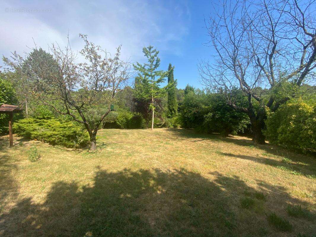 Terrain à VILLECROZE