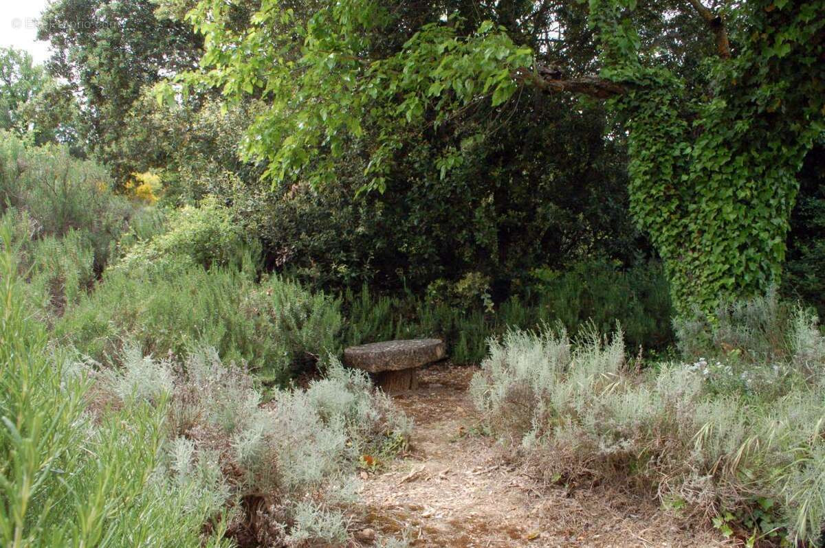 Bastide provencale - photo 4