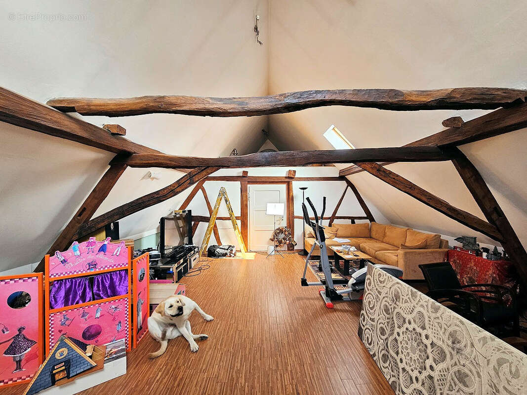 Hagenthal-le-haut maison alsacienne rénovée de 180 m2 - photo 11