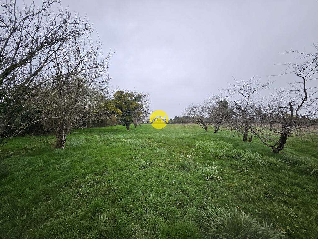 à rénover à la campagne - photo 9