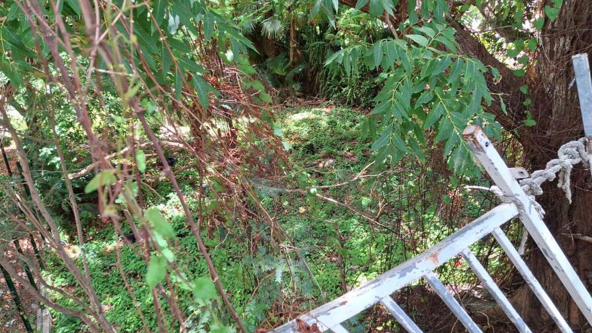 Terrain à BASSE-TERRE