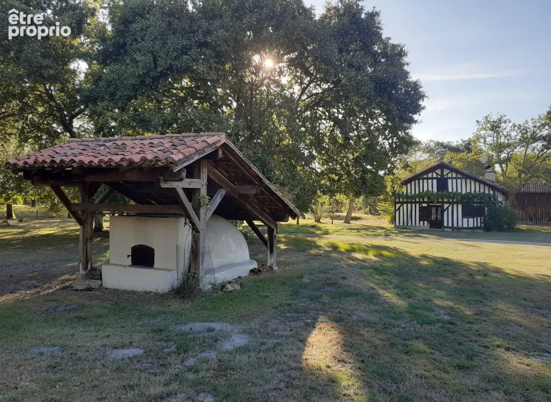 Authentique ferme landaise rénovée 8 pièces de 198 m² à Vert - photo 2