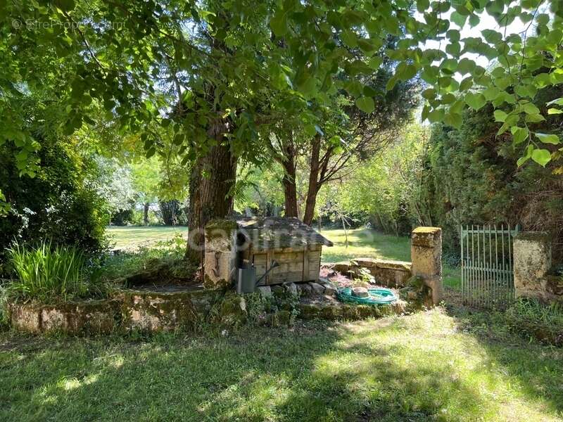 Maison en pierre avec piscine au cœur du Bourgeais - Entre pierre, lumière et nature - Lansac (33) - photo 18