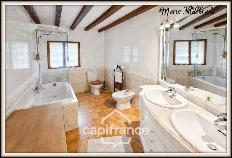 Propriété de charme 250m² habitable, avec piscine, 3 hectares de terrain et potentiel d'activité touristique - photo 6