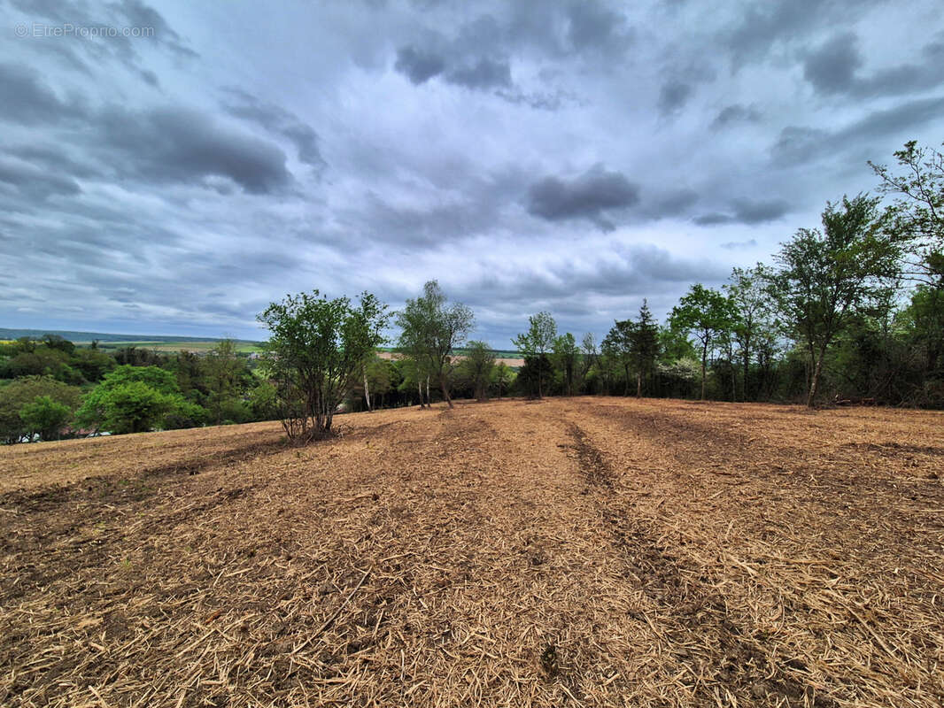 Terrain à VAUCOULEURS