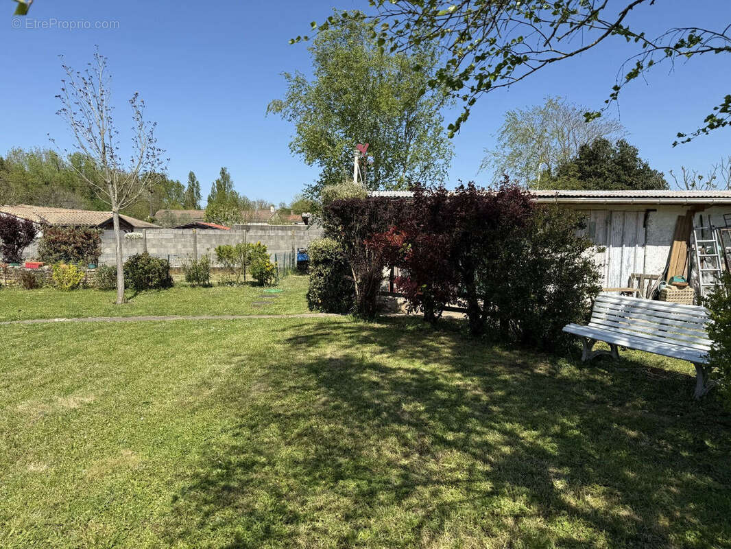 Photo 9 - Maison à MONTREUIL