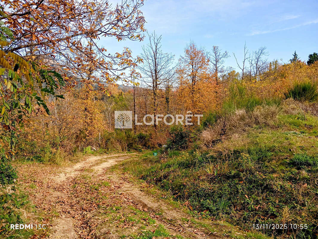 Terrain à SERRALONGUE