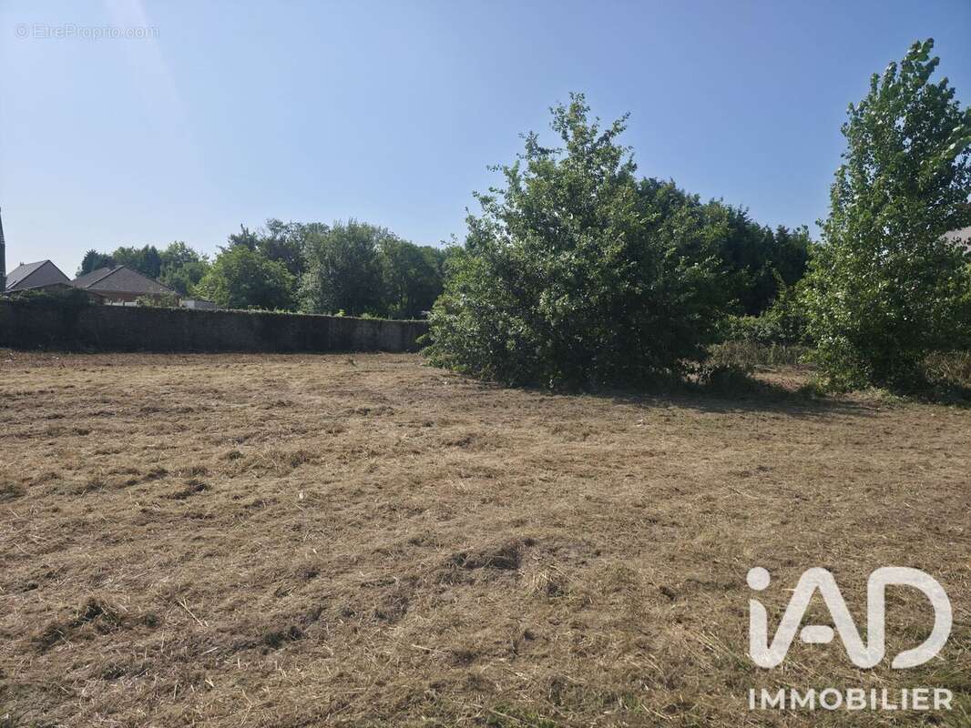 Terrain 3236 m² à Audruicq  - photo 2