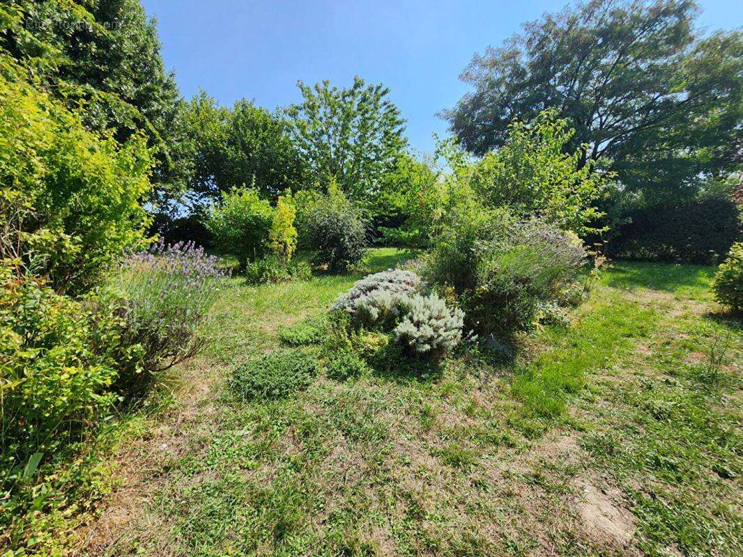 Maison Genille 4 pièce(s) 85 m2 - photo 6