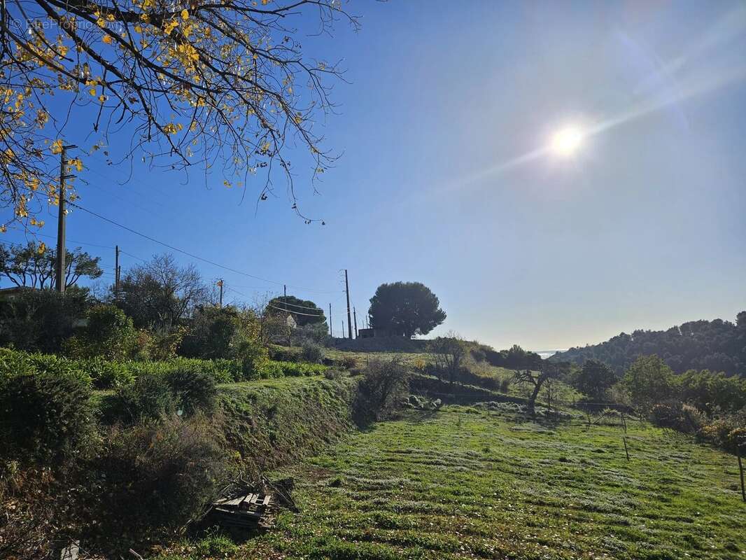 Terrain à SAINT-LAURENT-DU-VAR
