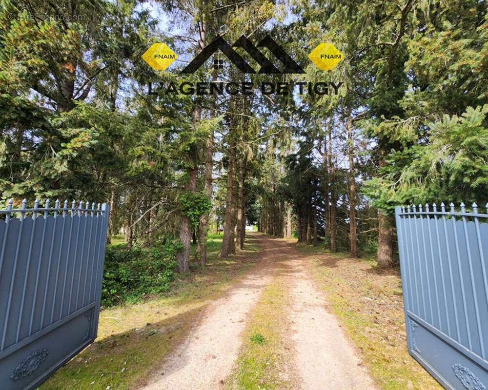 Maison à VIENNE-EN-VAL