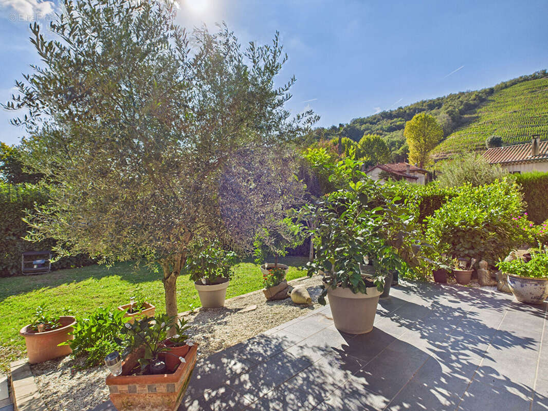 Maison à SAINT-JEAN-DE-MUZOLS