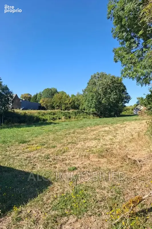 Terrain 1 551 m² à vendre à Saint-Remy-De-Sille (72140) - photo 3
