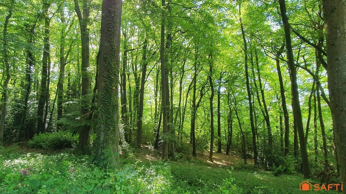 Photo 1 - Terrain à SAINT-GATIEN-DES-BOIS