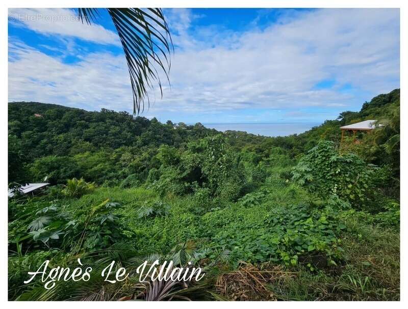 Terrain à BOUILLANTE