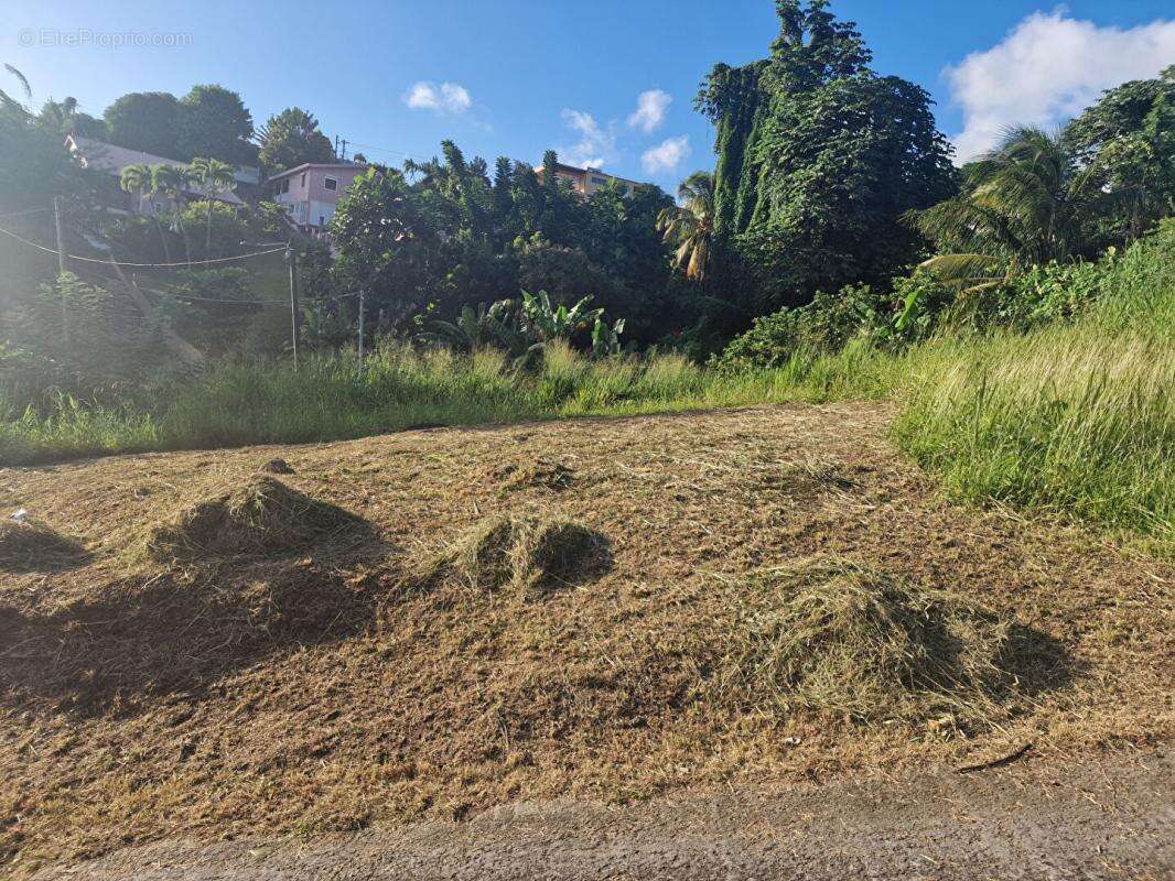 Terrain à SCHOELCHER