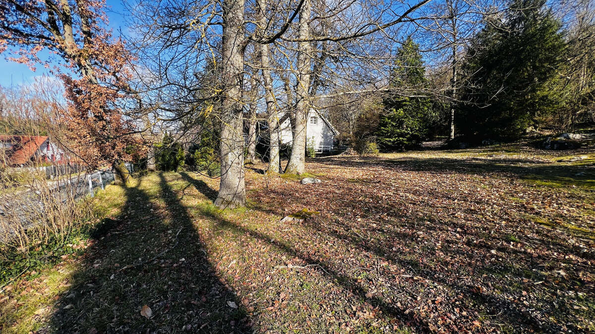 Terrain à BOUTIGNY-SUR-ESSONNE