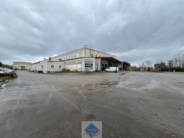 LOCAUX PRO de 5000m2 sur parcelle de 9000m2 - photo 3