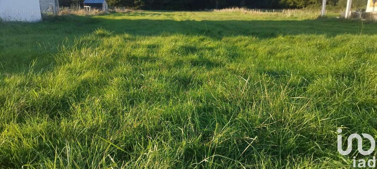 Photo 2 - Terrain à CHATRES-SUR-CHER